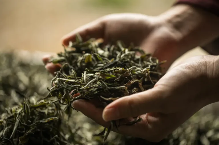 Can drinking chinese tea really do away with fat and lose weight?
