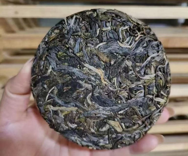 Pu’er Tea: A Comprehensive Guide to Raw and Ripe Varieties in Terms of Processing, Tasting, and Aging